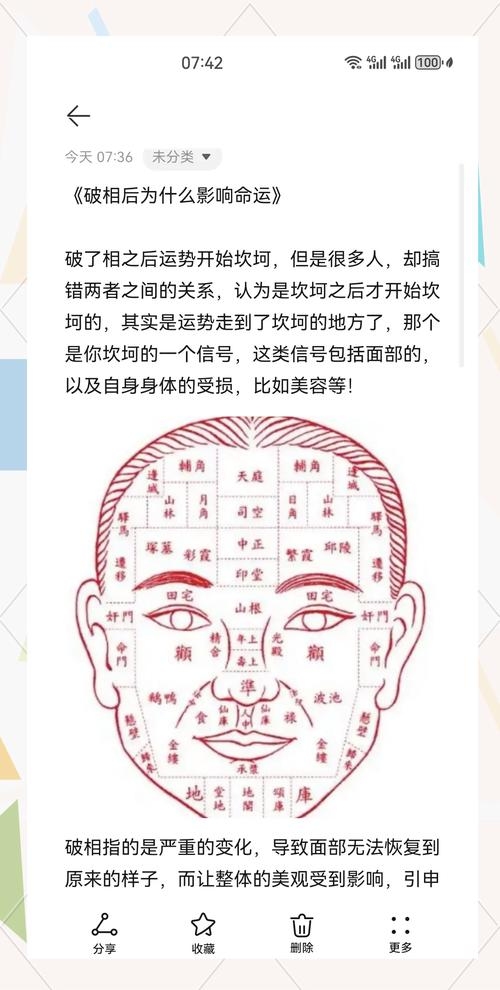 面相算命图解，从面相到命运的神秘对话插图