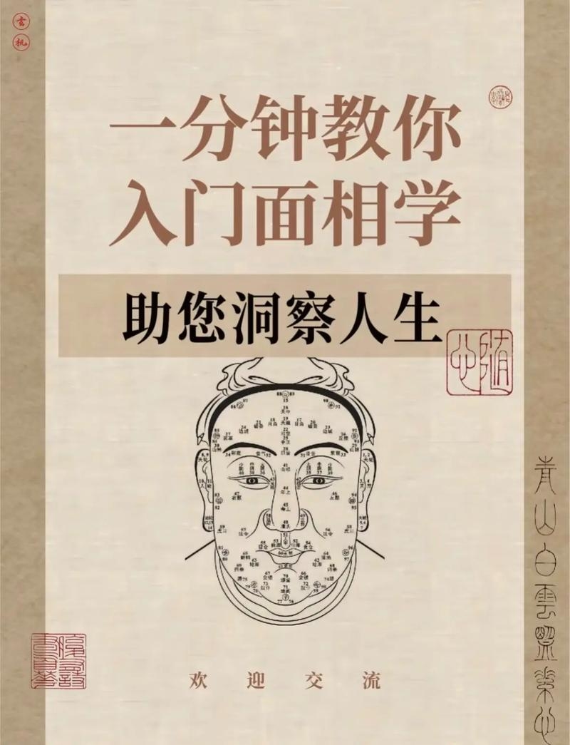面相学，透视人心的艺术与科学插图