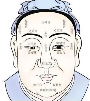 面相学，中庭长相影响女性事业与婚姻插图