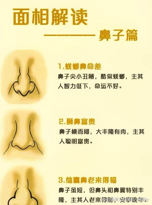 面相学，鼻子形状透露你的命运与性格插图