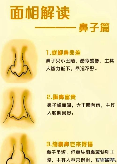 面相学，鼻子形状揭秘财运与性格插图