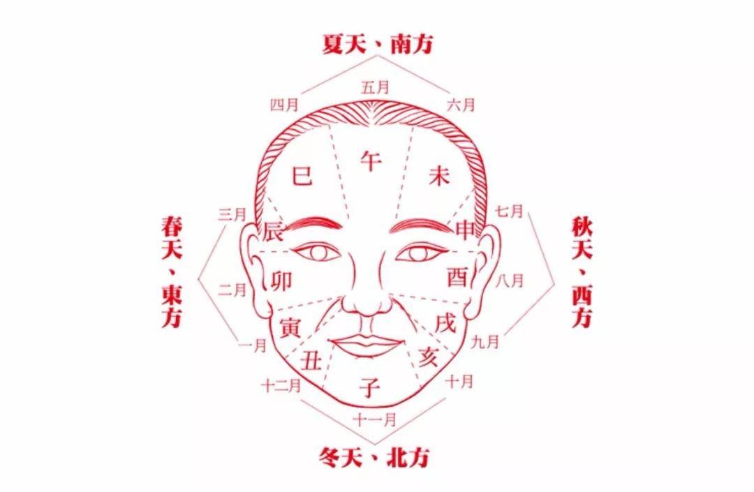 面相鼻子大，传统观念与现代视角的交织插图