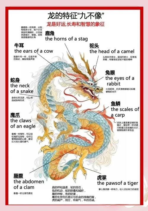 名扬四海生肖动物—龙的传说与象征意义插图