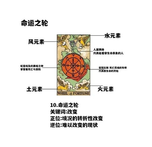 命运之轮，旋转中的宿命与自由意志插图