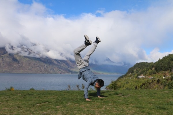 梦中的白马，追寻自由与梦想的旅程插图