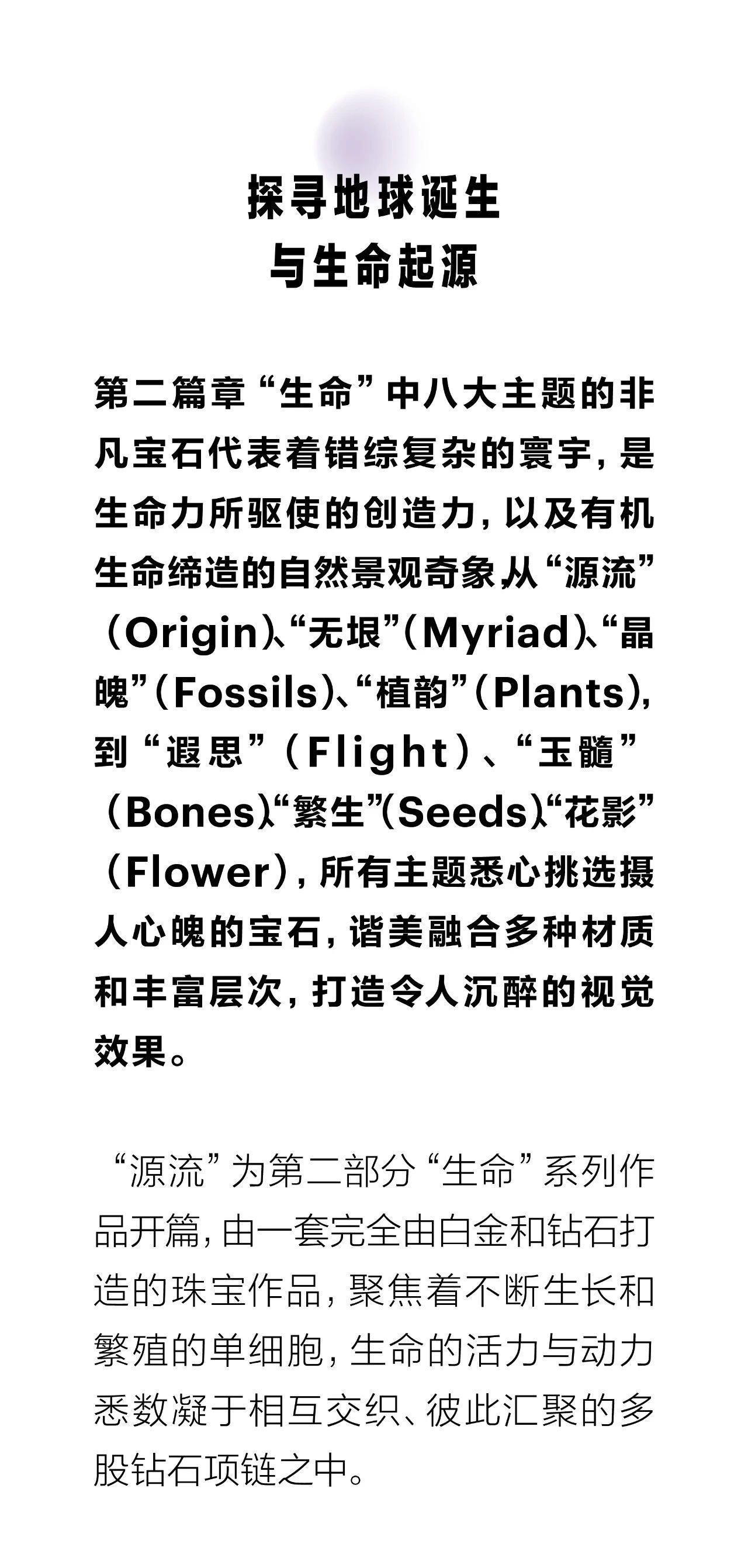 梦中的年轮，岁月的根系与生命的密码插图