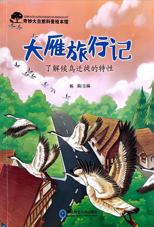 梦中的迁徙，一场关于搬家的奇幻之旅插图