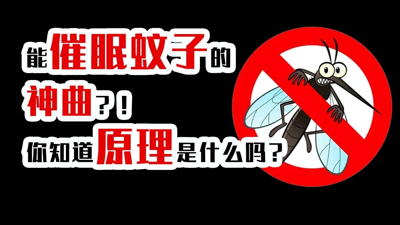 梦中的蚊子，微小却深刻的启示插图