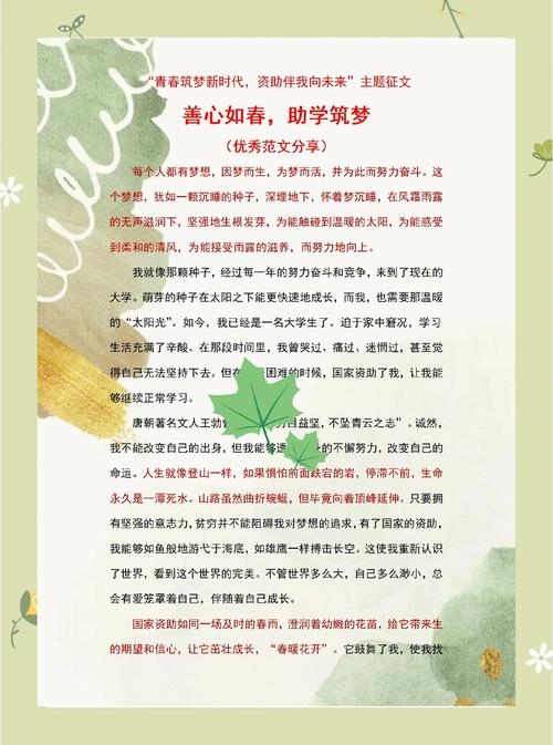 梦中善举，一次关于捐钱的奇妙之旅插图