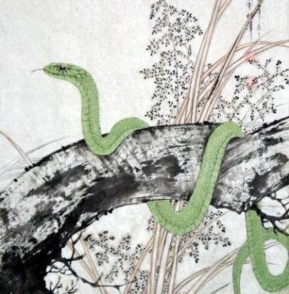 梦中蛇的预兆与解析，从吉凶到成长机会全解读插图