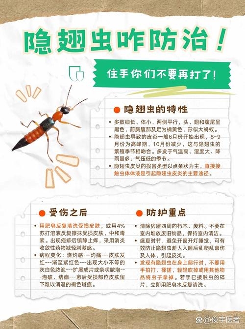 梦中惊现毒虫，为何却置身于无边毒雾与残酷威胁之中？插图