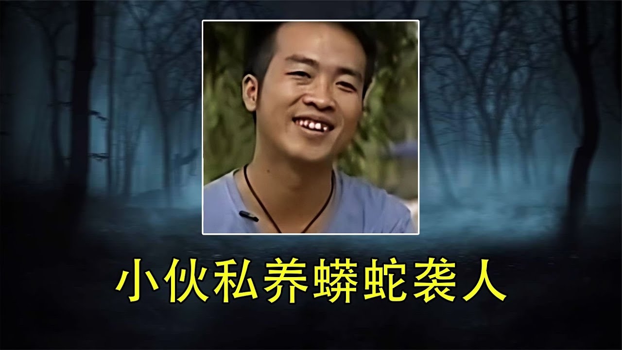 梦中巨蟒咬人，单身者得异性助，恋爱中需防金钱矛盾插图