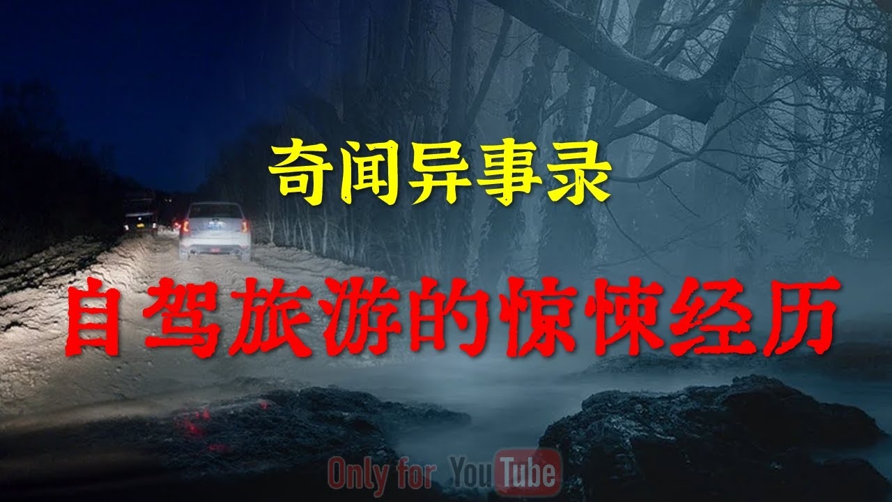 梦中惊魂，车被盗的奇幻之旅插图