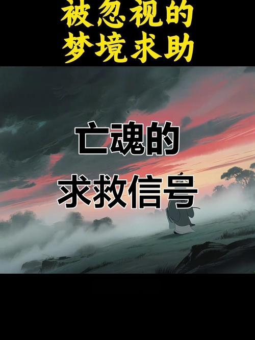 梦中之人，灵魂之殇与生命延续的迷思插图