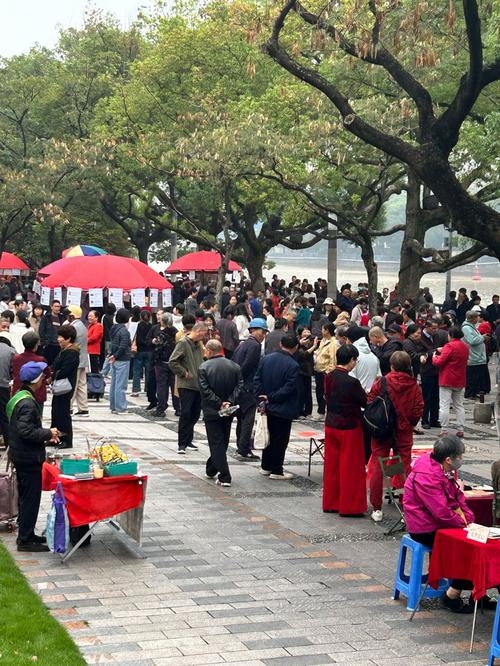 宁波江厦公园相亲角，周末热门的本地单身交友地插图