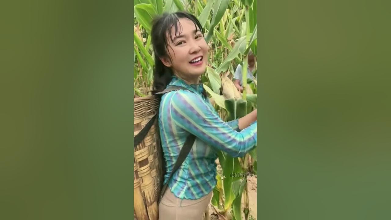 农村大龄女征婚,爱在田野的温柔守候插图 农村大龄女征婚,爱在田野的温柔守候插图