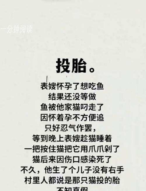 你的前世投胎需谨慎，超现实认知仅供参考插图