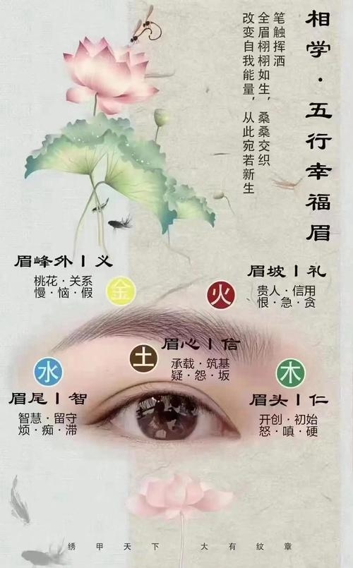 女人八字眉，命理中的灵动美学与性格密码插图