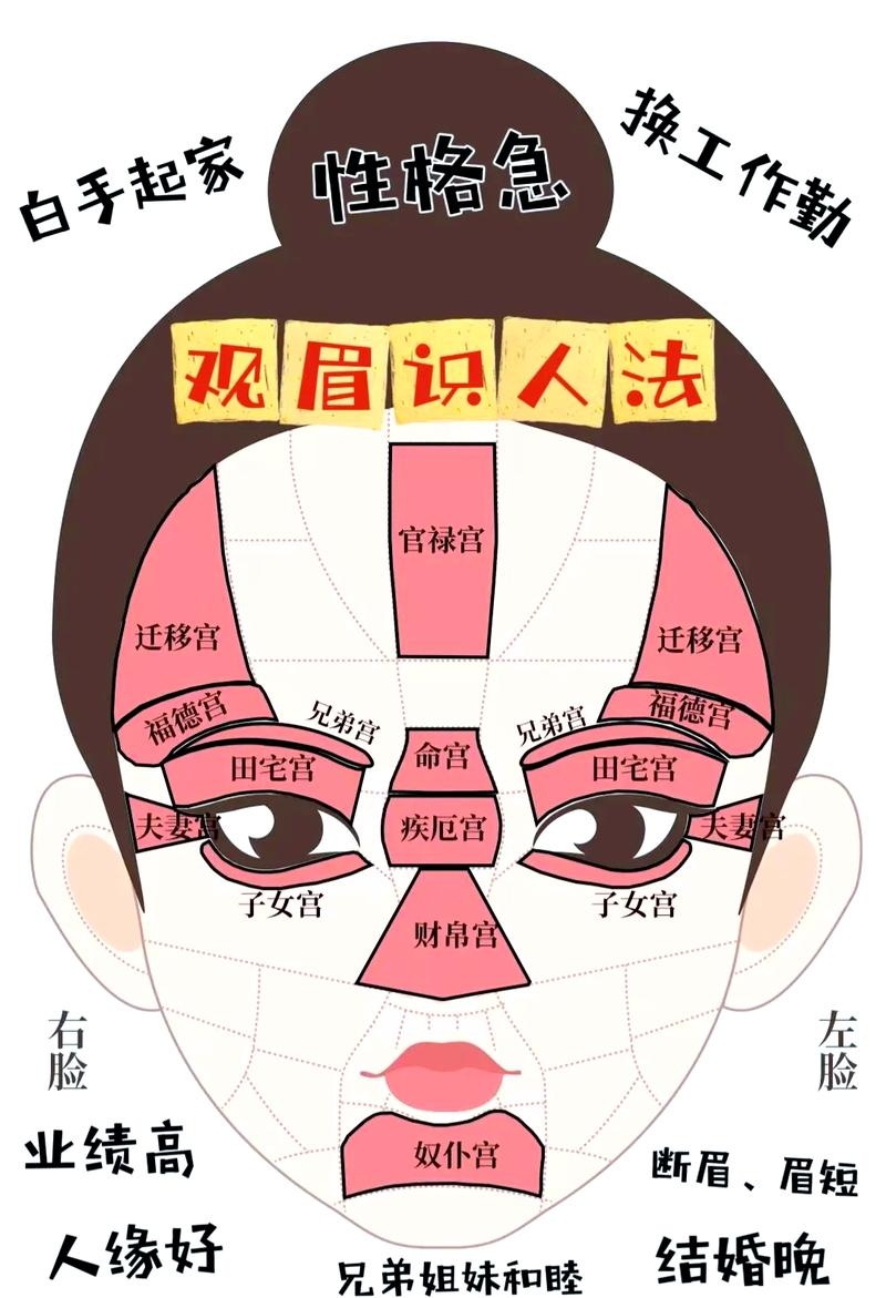 女人正八字眉，传统雅致与命运坎坷的双重解读插图