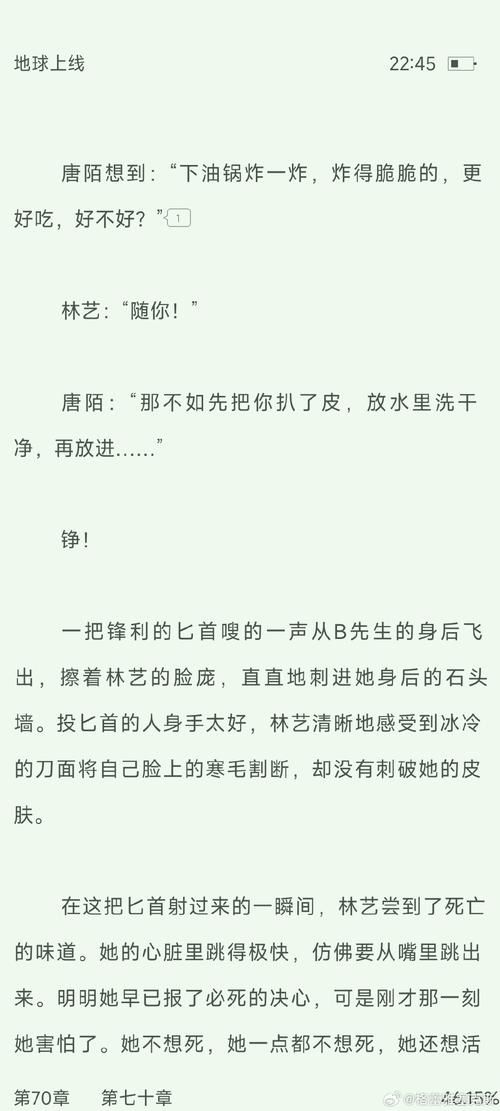 宁少辰沈陪一，一段跨越时空的深情全文阅读插图