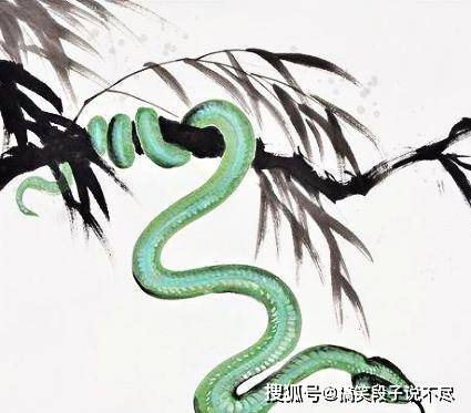 能文能武的生肖——龙插图