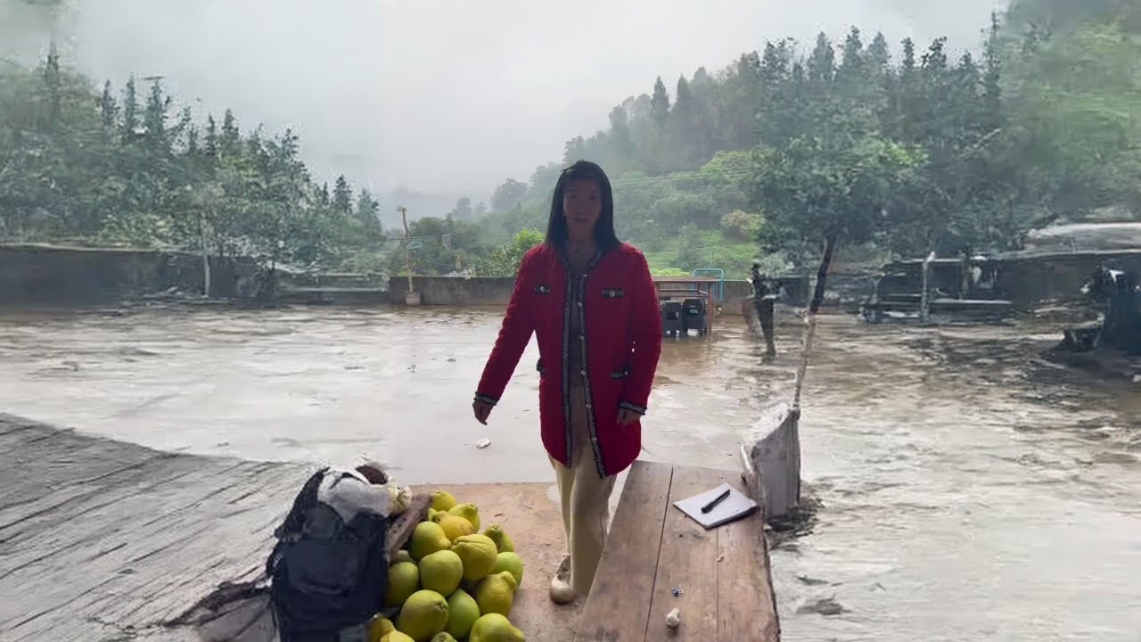 内乡交友,探索心灵之交的温馨之旅插图 内乡交友,探索心灵之交的温馨之旅插图