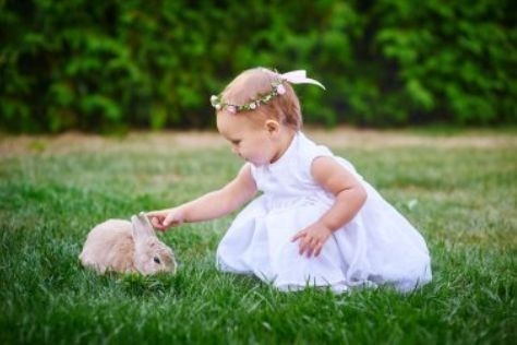 女孩可爱名字的魅力与选择插图