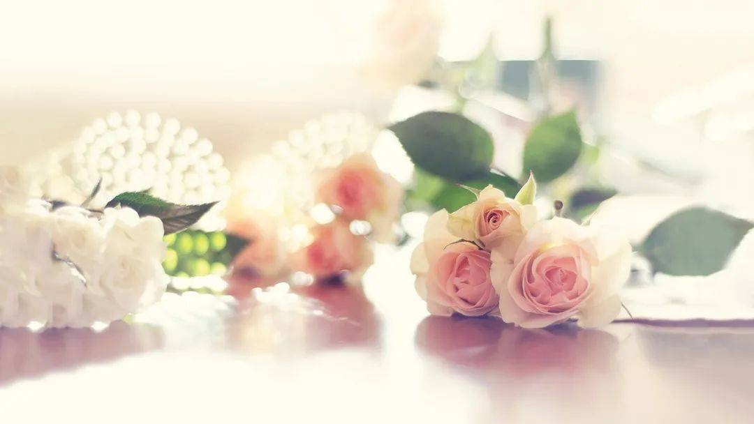 那些让人心动的好听的字——语言的艺术与情感共鸣插图