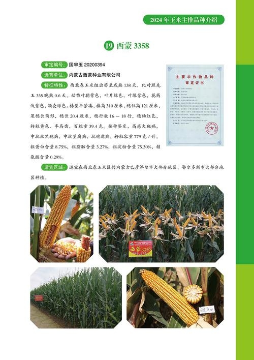 农业公司命名指南，望隆寓意发展，选名需谨慎避侵权风险插图