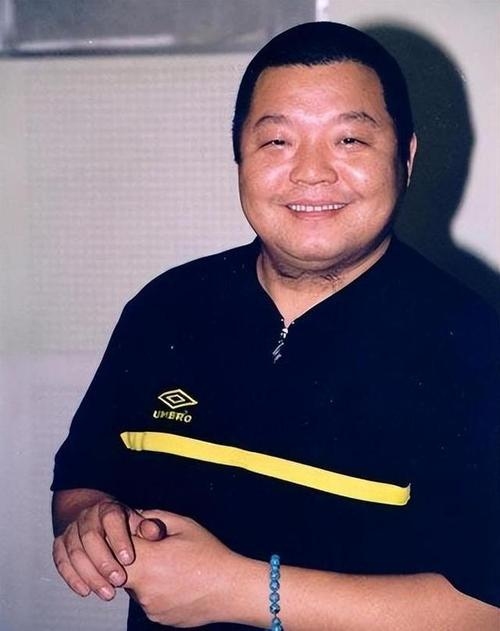 朋友成也败也，臧天朔、大鹏长春梦碎插图