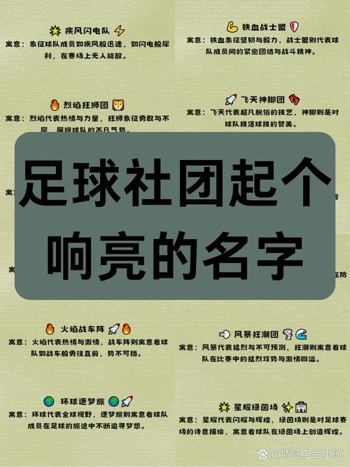 球队名字，创意与历史的交响曲插图