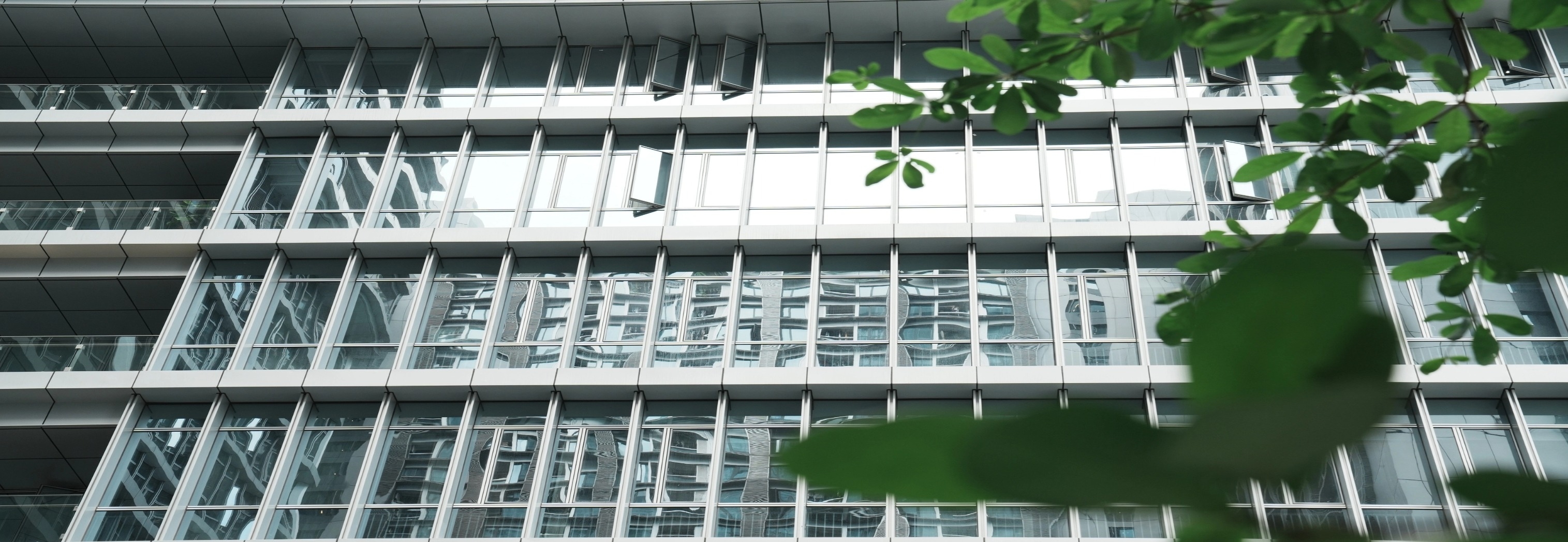 起名字测试，探索命名背后的科学与艺术插图