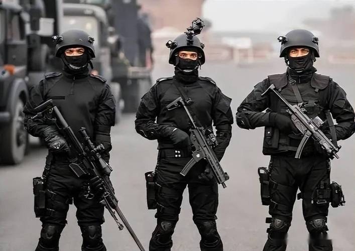 全球顶尖反恐特种部队，精锐尽出，守护和平插图