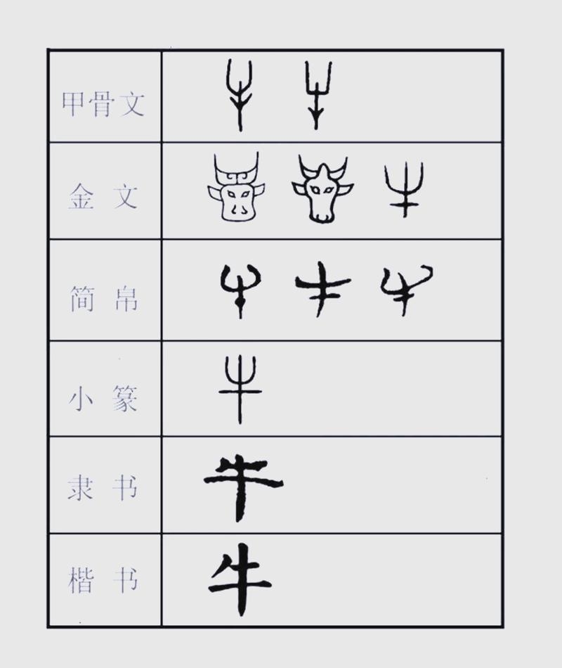 其貌不扬，生肖谜底揭晓，牛！插图