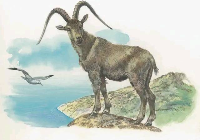 千丝万缕对应生肖羊,形象与文化双重解析插图 千丝万缕对应生肖羊,形象与文化双重解析插图