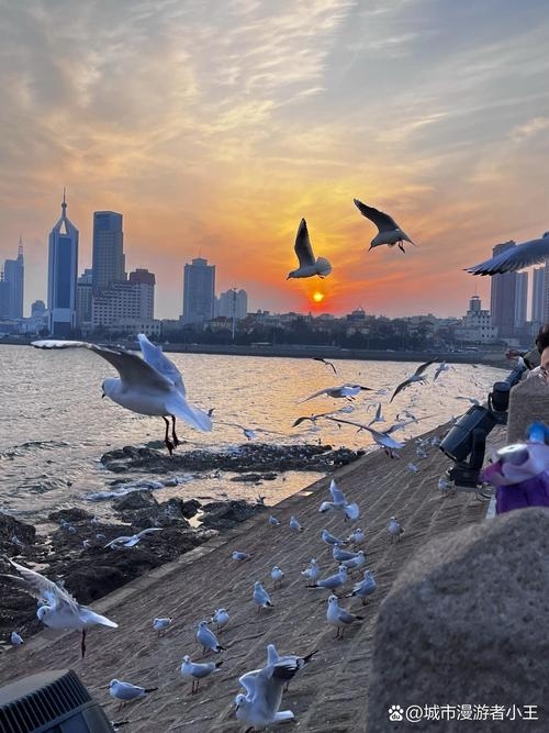 青岛，海风轻拂下的城市聊天插图