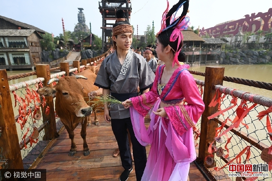 七夕相亲会，古老节日的新风尚插图