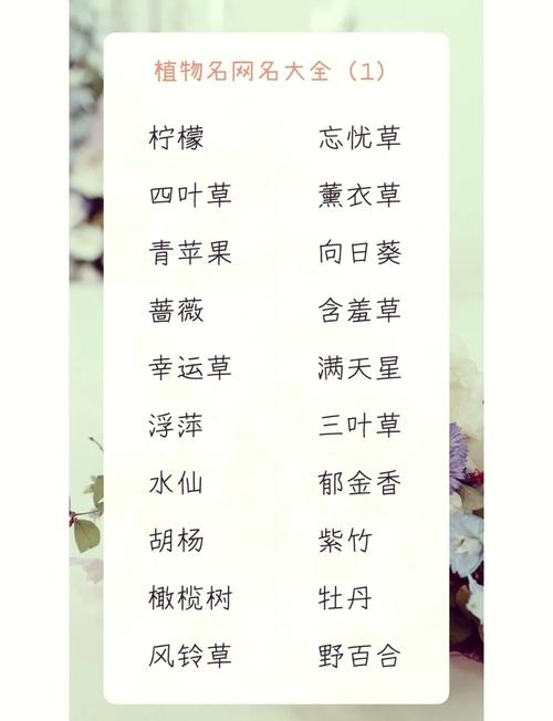 清馨/清雅名字推荐,心怡名解与寓意解读插图 清馨/清雅名字推荐,心怡名解与寓意解读插图