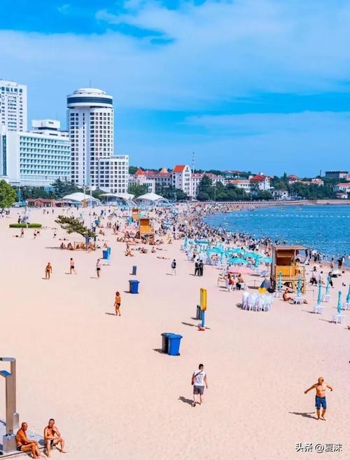 青岛聊天室，海滨城市的线上交流新篇章插图