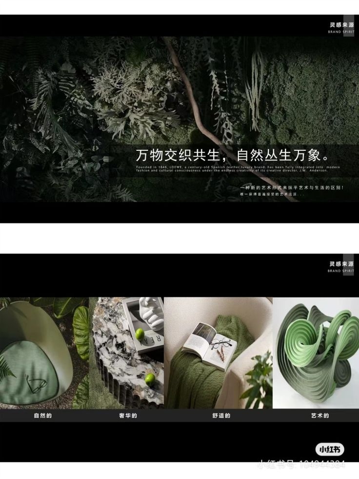 清逸之名，以清新之名，缔造专属网感插图