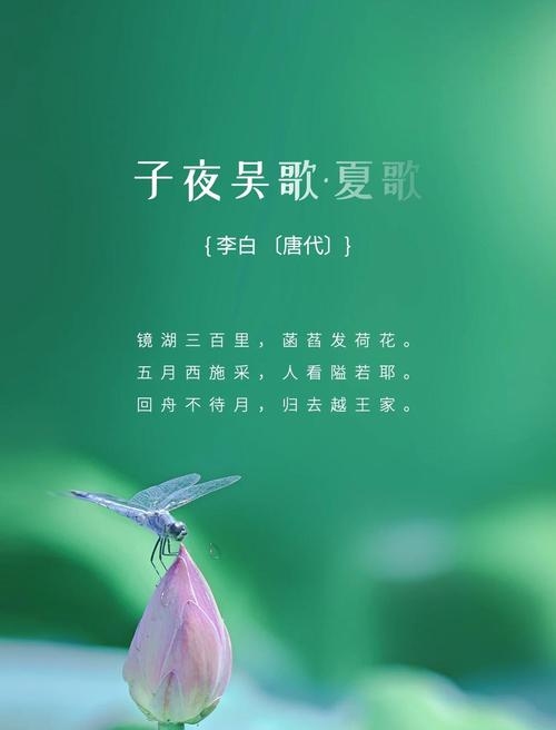 七月二十九，夏日未央，诗意与时光的交响曲插图