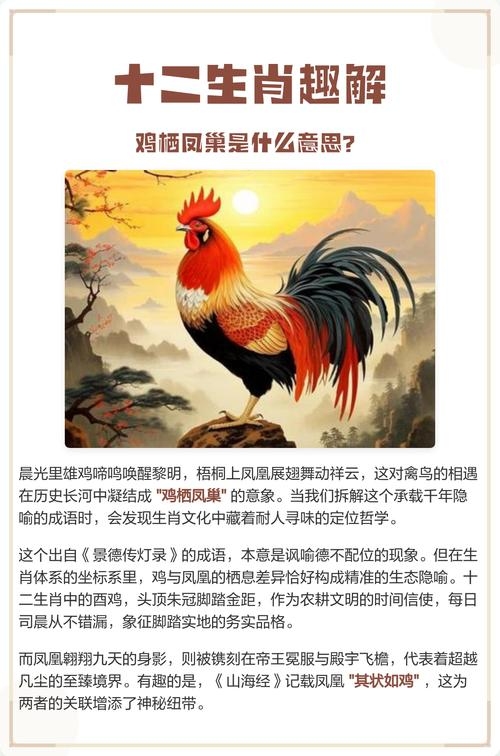 日落西山话生肖——揭秘鸡的独特寓意插图