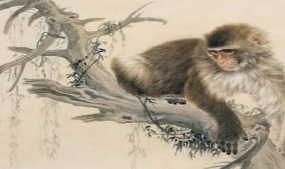 人面桃花映红颜，生肖属猴智机敏插图