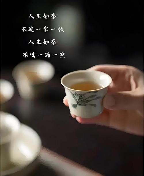 人生如茶，品味生活每一刻插图