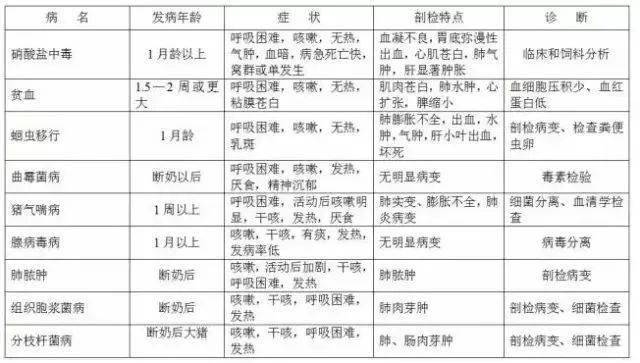如何判断名字的好坏,实用指南与注意事项插图 如何判断名字的好坏,实用指南与注意事项插图