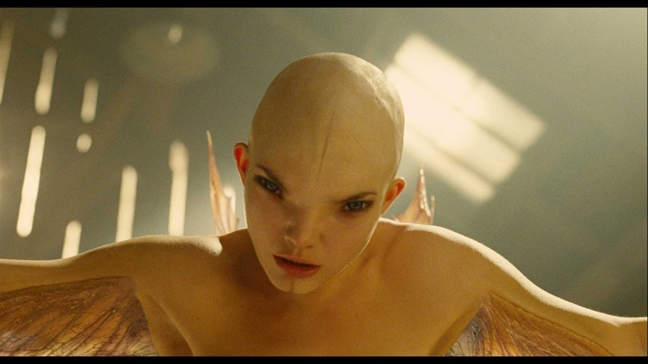 人兽性交，道德与伦理的十字路口插图