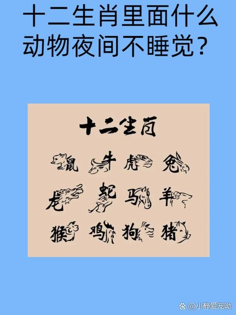 日伏夜出指的是生肖鼠插图 日伏夜出指的是生肖鼠插图