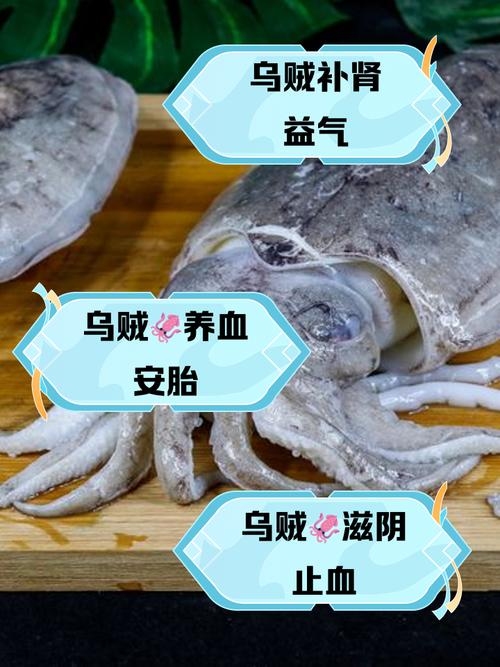 认贼作父，乌贼特性揭秘插图