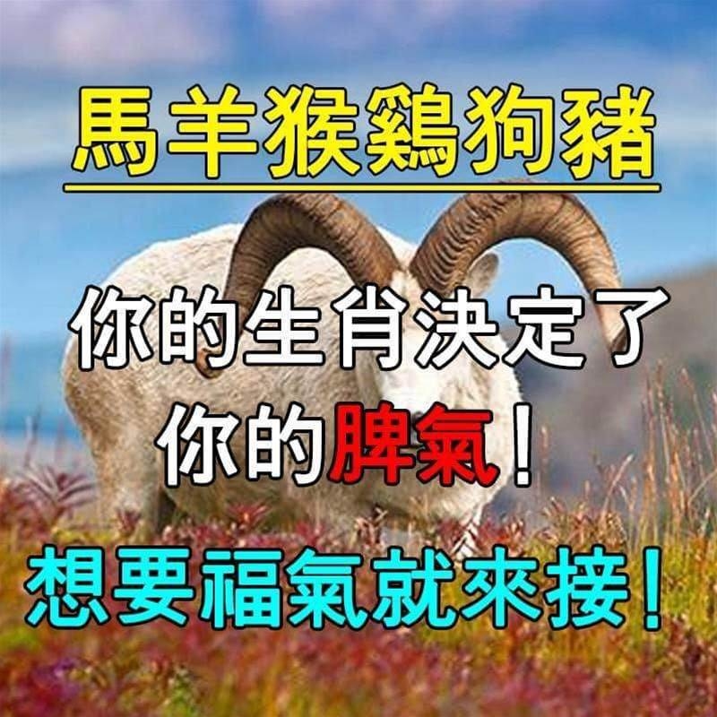 如愿以偿指的是生肖马插图