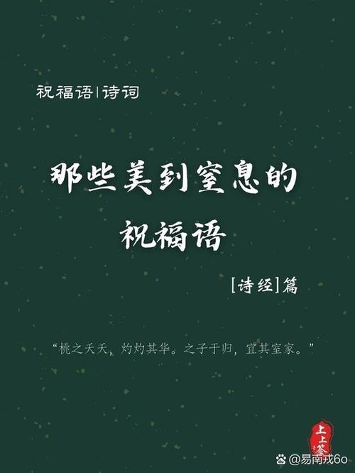 深爱之语，名为玲逸插图